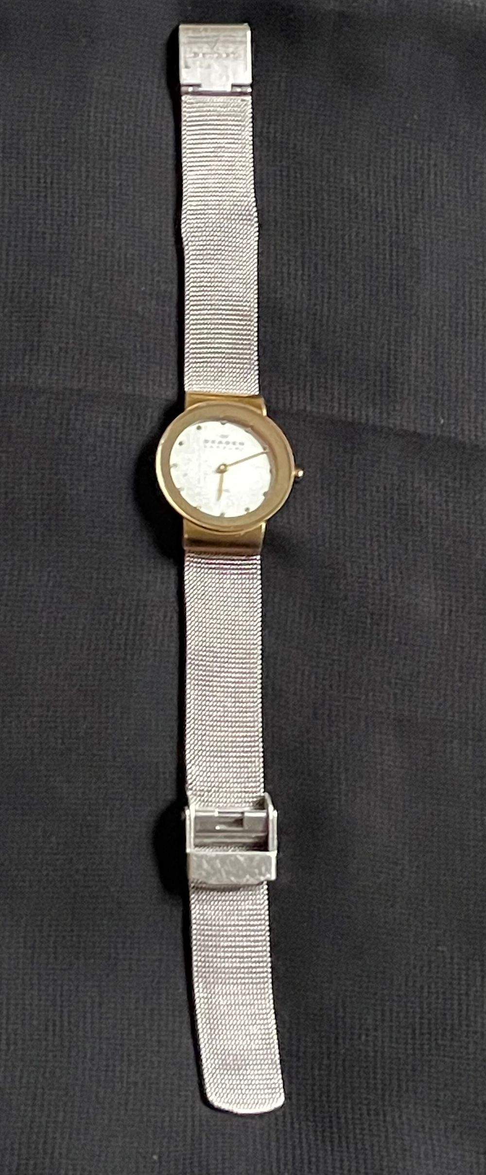 Skagen watch