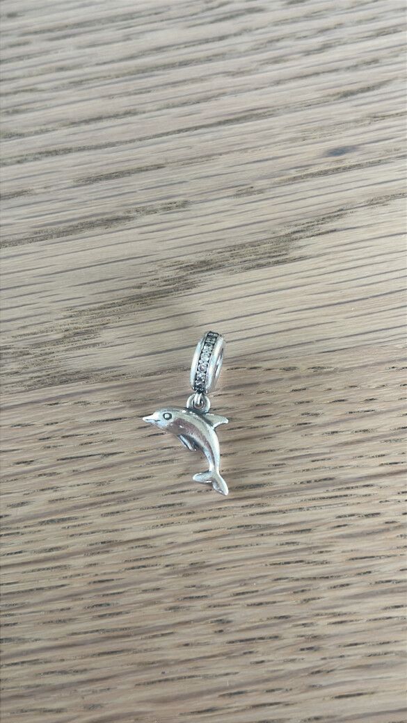 pandora charm