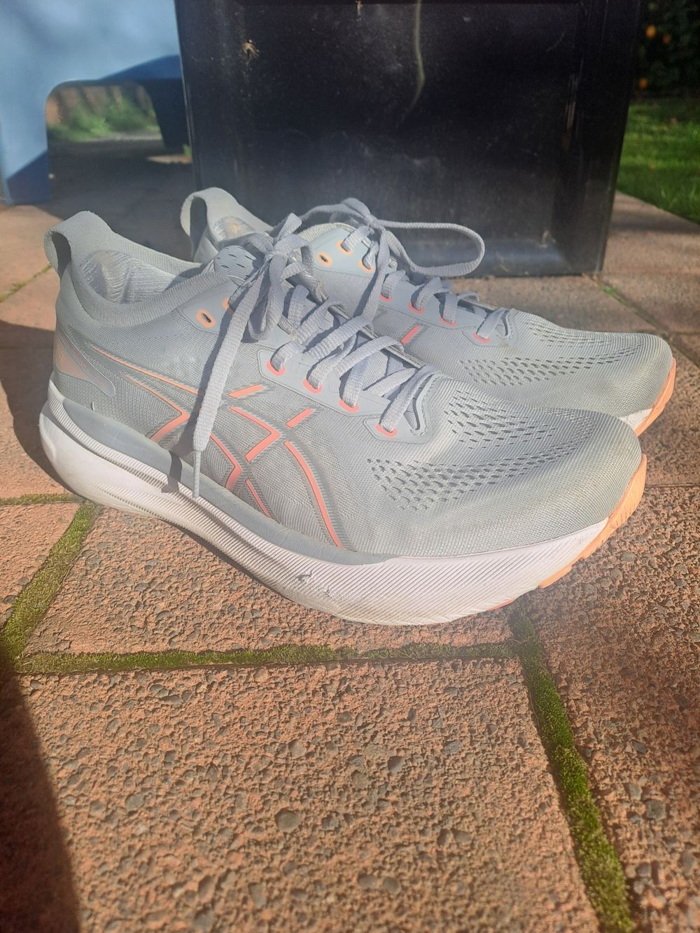 Asics GEL-KAYANO 31