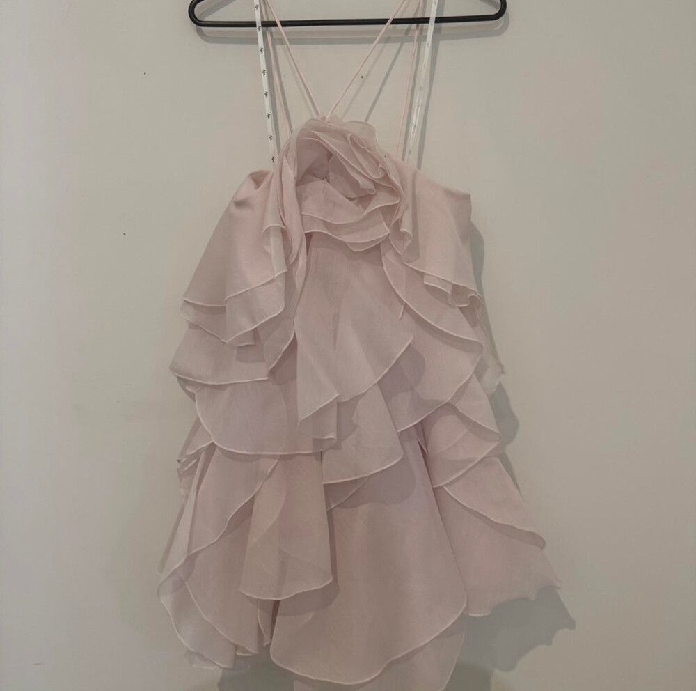 aje pandorea pink dress size 10