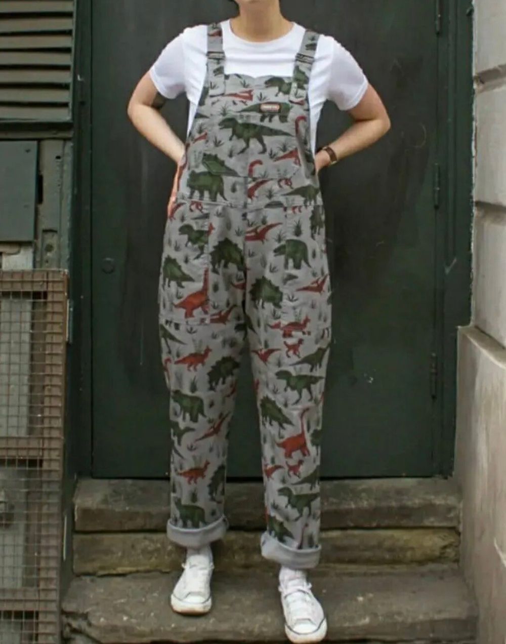 Run&Fly Grey Dinosaur Print Dungarees