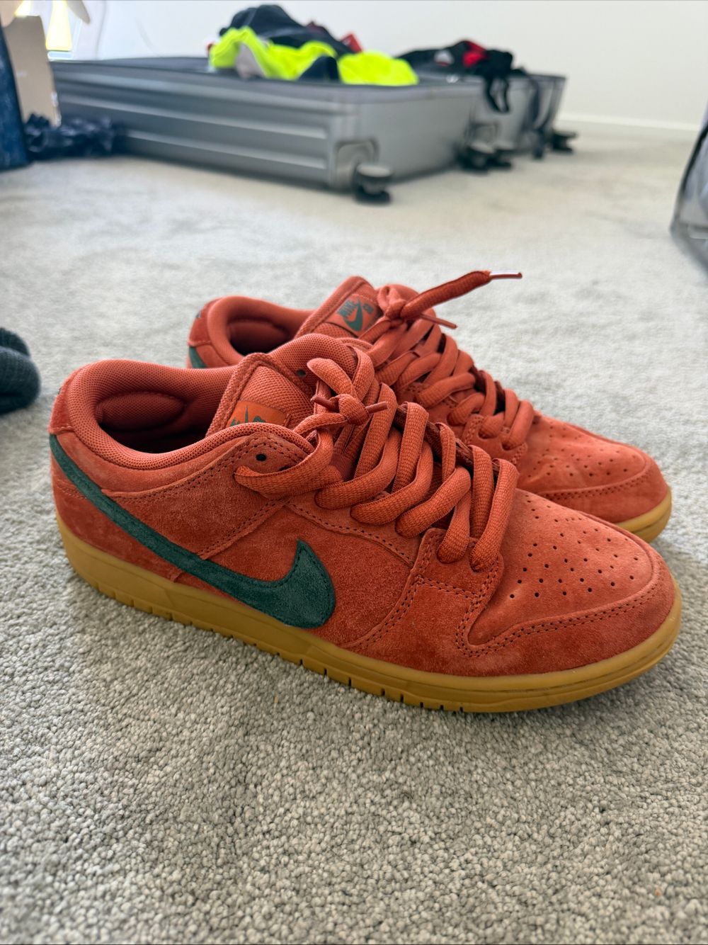 Nike SB Sneakers