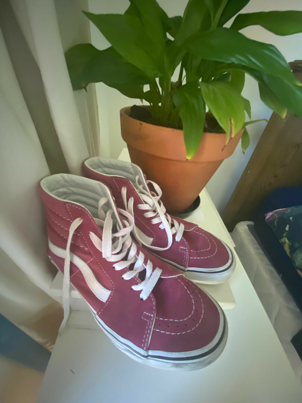maroon vans high tops